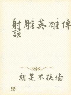 射雕英雄传 小说