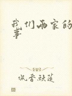 我们两家的荒唐事