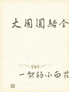 大团圆结全文封面