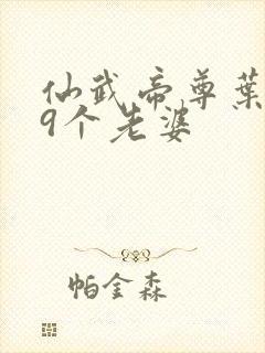 仙武帝尊叶辰19个老婆封面
