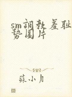 sm调教羞耻姿势图片封面