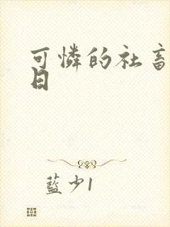 可怜的社畜东度日