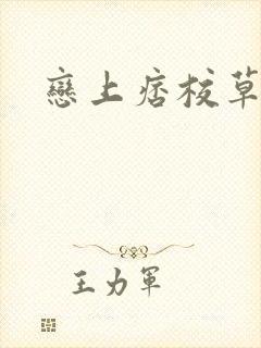 恋上痞校草封面