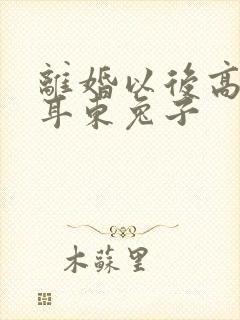 离婚以后高干 耳东兔子