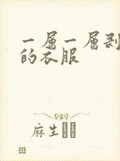 一层一层剥开我的衣服