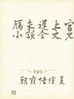 雁未迟上官穿越小说全文免费阅读