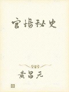 官场秘史