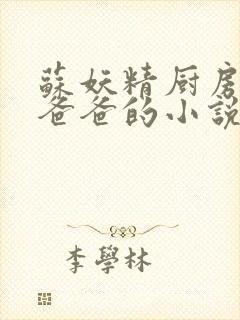 苏妖精厨房爹爹爸爸的小说