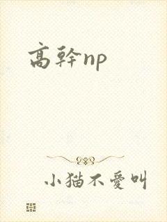 高干np