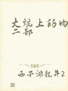 大炕上的肉伦第二部