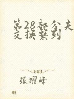 第28部分夫妇交换系列