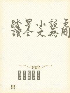 踏星小说免费阅读全文无删减