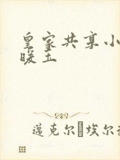 皇家共享小公主暖玉