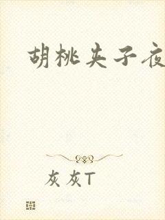 胡桃夹子夜未眠