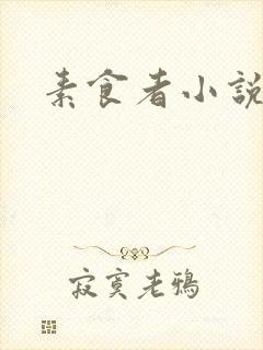 素食者小说