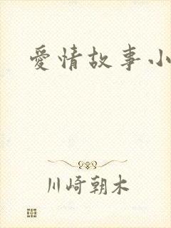 爱情故事小说封面
