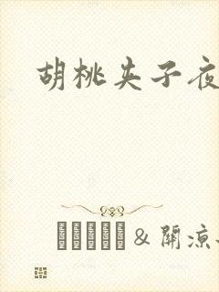 胡桃夹子夜未眠封面