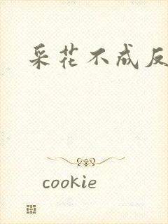 采花不成反被采封面