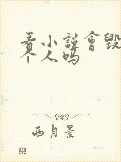 看小说会毁掉一个人吗封面