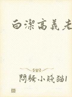 白洁高义老七封面