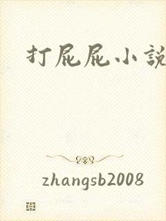 打屁屁小说封面