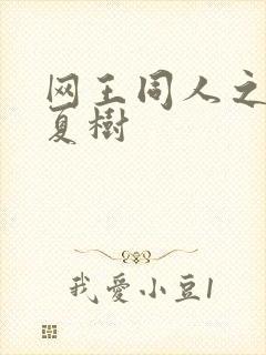 网王同人之桃生夏树