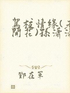 驾校情缘(老树开花)孙潇潇笔趣阁