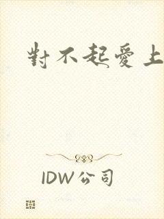 对不起爱上你封面