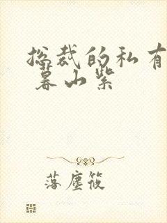 总裁的私有宝贝 暮山紫