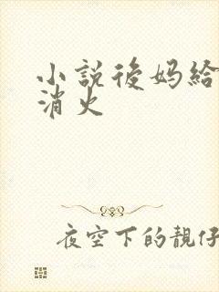 小说后妈给我消消火