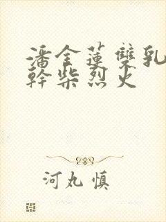 潘金莲双乳晃动干柴烈火封面