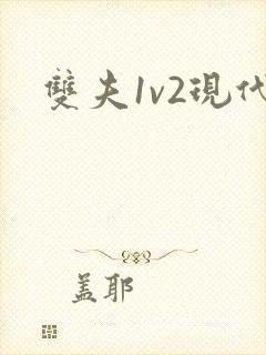 双夫1v2现代