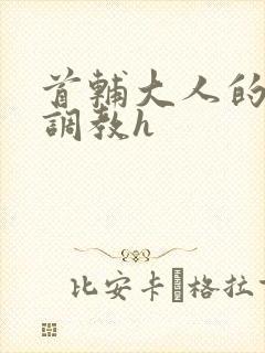 首辅大人的花式调教h