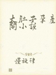 大肚子孕产笔趣阁小说