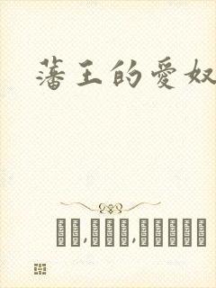 藩王的爱奴