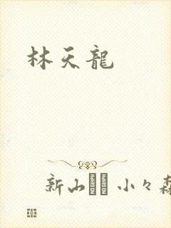 林天龙