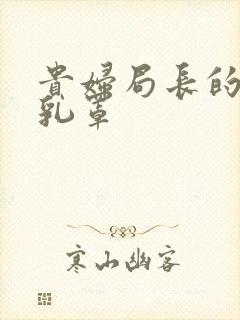 贵妇局长的蕾丝乳罩