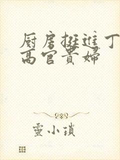 厨房挺进丁字裤高官贵妇