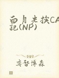 白月光挨CAO记(NP)封面