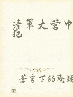 清军大营中的女犯