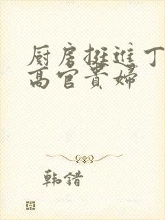 厨房挺进丁字裤高官贵妇