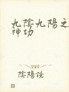 九阴九阳之阴阳神功