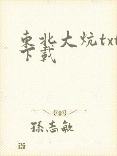 东北大炕txt下载封面