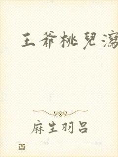王爷桃儿泻了封面