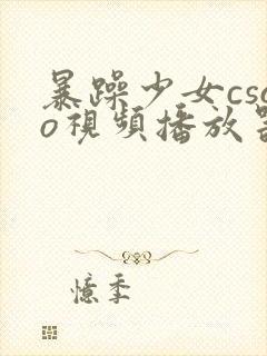 暴躁少女csgo视频播放器推荐