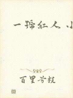 一号红人 小说封面