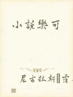 小说乐可