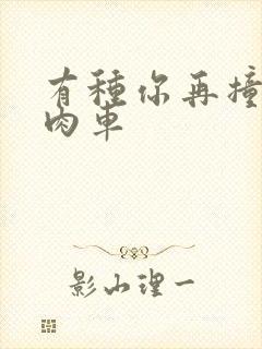 有种你再撞一下肉车封面