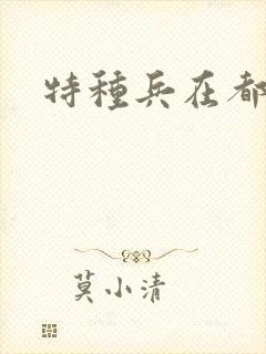 特种兵在都市封面