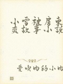 小雪被房东的好爽故事小说